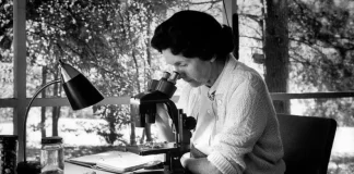 Rachel Carson Biography in Hindi Rachel Carson Biography in Hindi
