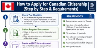 How to Apply for Canadian Citizenship (Step by Step & Requirements) How to Apply for Canadian Citizenship (Step by Step & Requirements)