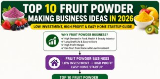 Top 10 Fruit Powder Making Business Ideas (Low Investment & High Profit) Top 10 Fruit Powder Making Business Ideas (Low Investment & High Profit)