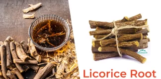 Top 10 Health Benefits of Licorice Root Top 10 Health Benefits of Licorice Root