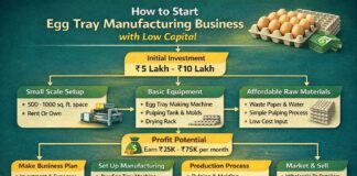 Egg Tray Manufacturing Business (Low Investment & Machine Cost) Egg Tray Manufacturing Business (Low Investment & Machine Cost)