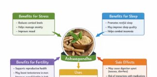 Ashwagandha Benefits for Stress, Sleep & Fertility, Uses & Side Effects Ashwagandha Benefits for Stress, Sleep & Fertility, Uses & Side Effects