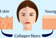 Collagen क्या है Collagen Benefits and Side Effects Collagen Benefits s