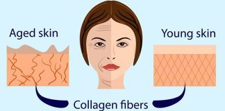 Collagen क्या है Collagen Benefits and Side Effects Collagen Benefits s