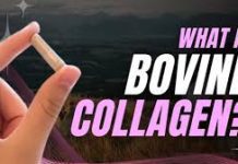 Benefits of Bovine Collagen in Hindi Benefits of Bovine Collagen