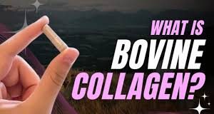 Benefits of Bovine Collagen in Hindi Benefits of Bovine Collagen