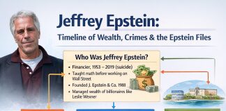 The Rise and Fall of Jeffrey Epstein Biography A Deep Dive into His Life and Crimes Jeffrey Epstein Biography
